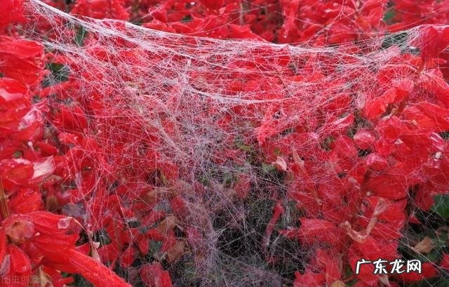 减法生活和仪式感生活冲突么