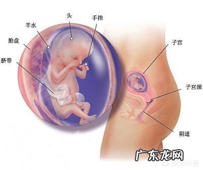 跑步效果是由跑速心率还是跑步的量来决定