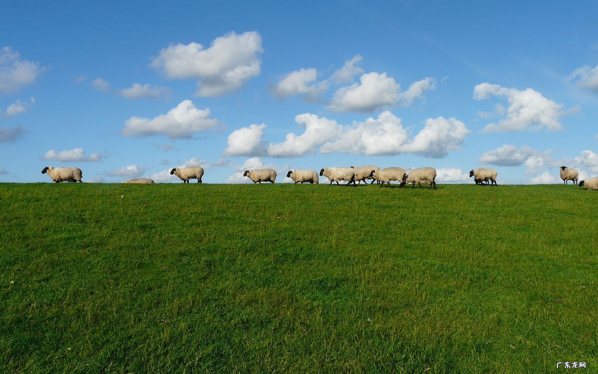 醋泡黄豆最快减肥速度方法