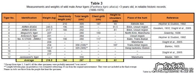 一只386kg的野生西伯利亚雄虎能打败几头非洲狮