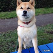 产品标题优化攻略跨境电商怎么写产品标题