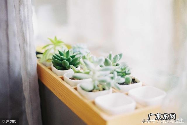 预防疾病小知识10条 预防疾病的十大常识