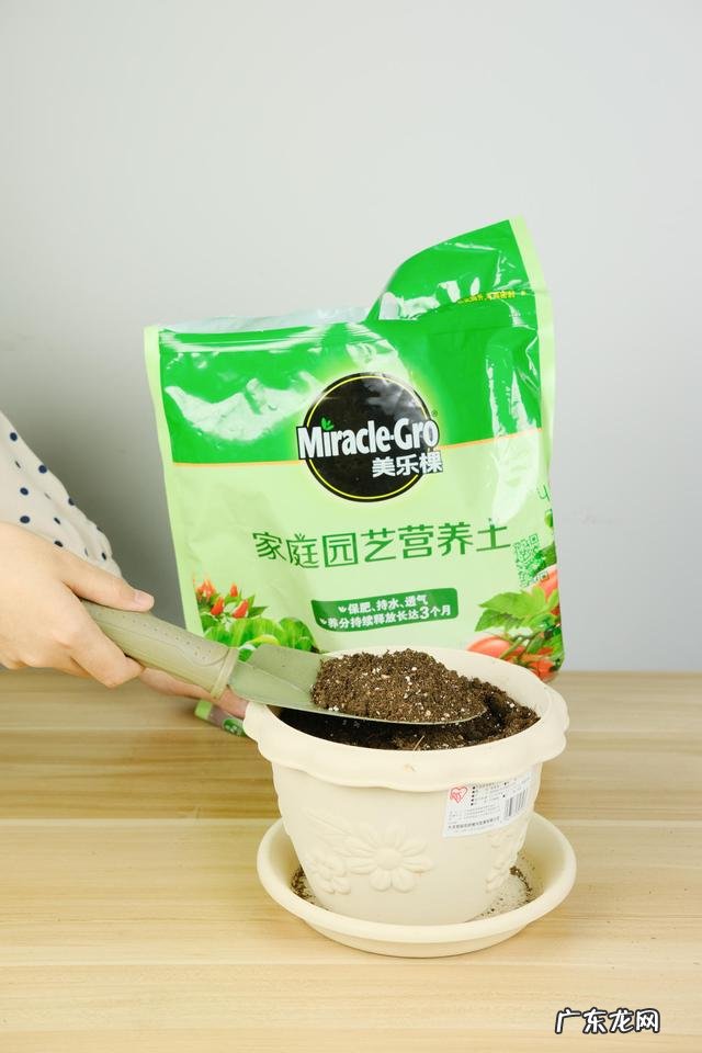 防治虫子最好方法 春天怎么灭虫最快