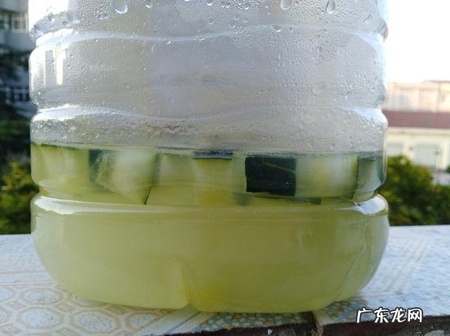 防治虫子最好方法 春天怎么灭虫最快