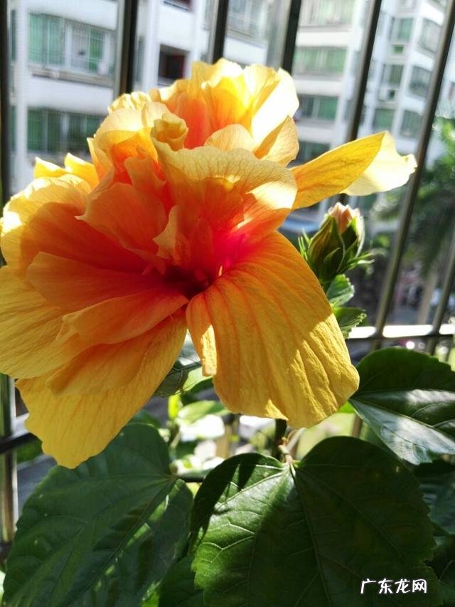 防治虫子最好方法 春天怎么灭虫最快