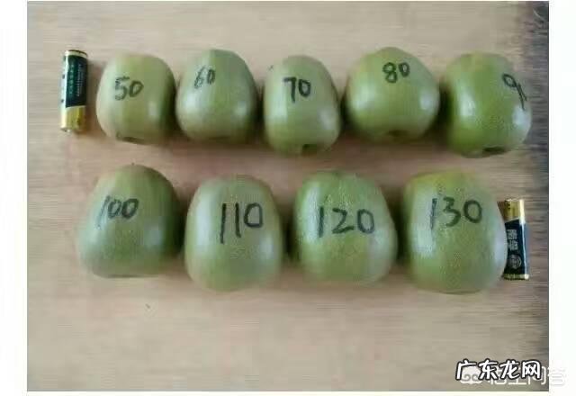 都江堰红心猕猴桃该怎么选择