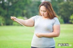 泰国试管成功率和肥胖有关吗