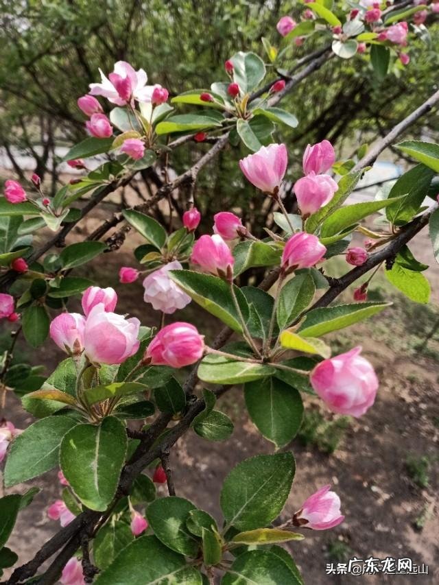 家里有个28的大龄剩女,爹妈愁的睡不着觉怎么办