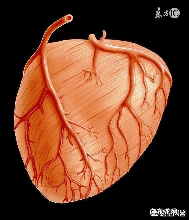 有些患心肌缺血的病人,很难zhi愈的原因是什么