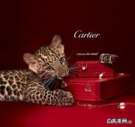 国际大牌珠宝有哪些在哪里买比较好