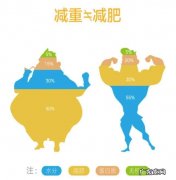 为什么停止运动几天，也没有节食体重还掉了