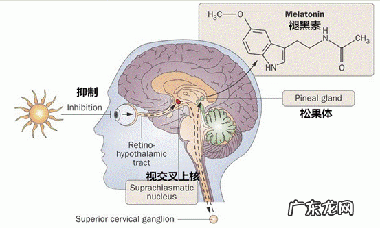 为什么一到冬天就没精神不想动,还总焦虑烦躁呢