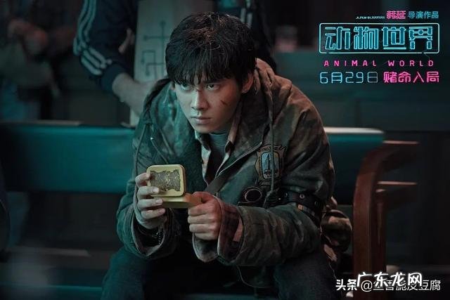 张科峰已经很有钱，为什么项思醒还要到处偷，她到底为了什么呢