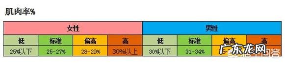 力量训练与有氧运动哪个更好