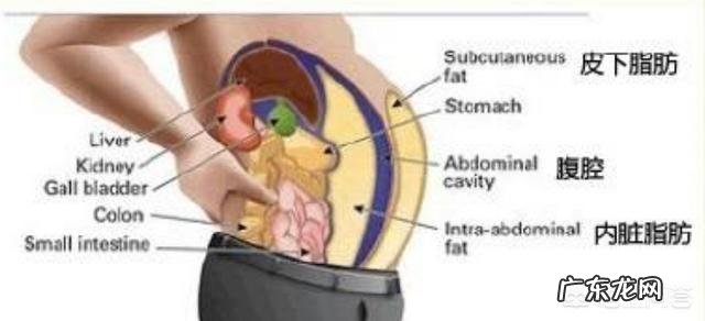 力量训练与有氧运动哪个更好
