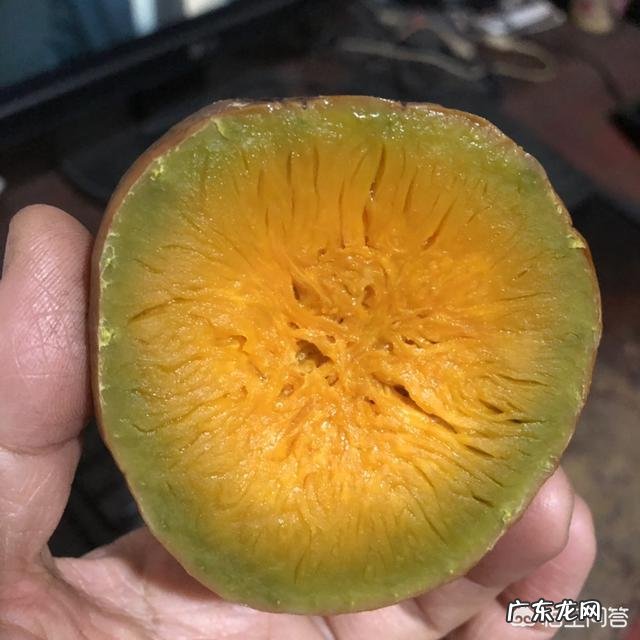 马上是露肉的季节了,大家都是怎么减肥的呢