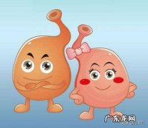 胃胀不消化，适合吃哪些中成药