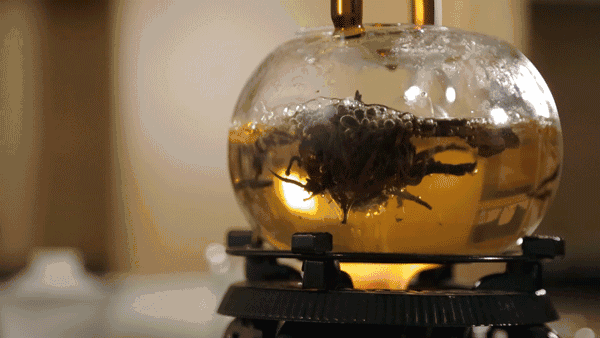 冬天的时候,煮茶你会选什么茶