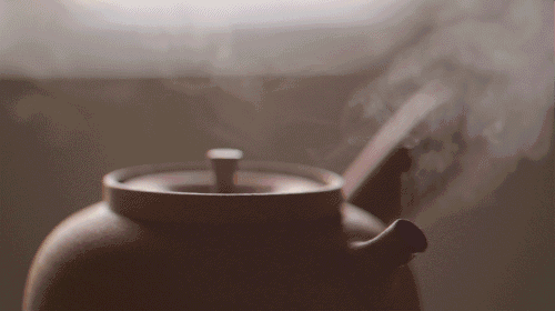 冬天的时候,煮茶你会选什么茶
