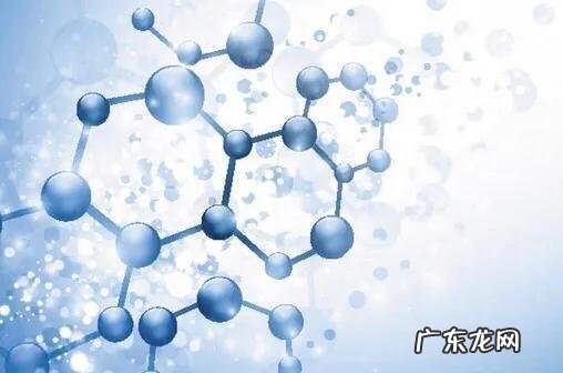 腐竹是炸营养好还是不炸好