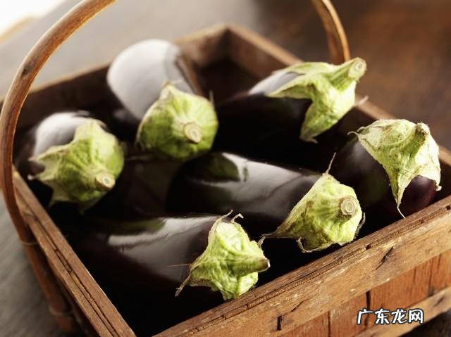 茄子把儿真的能zhi疗咳嗽吗