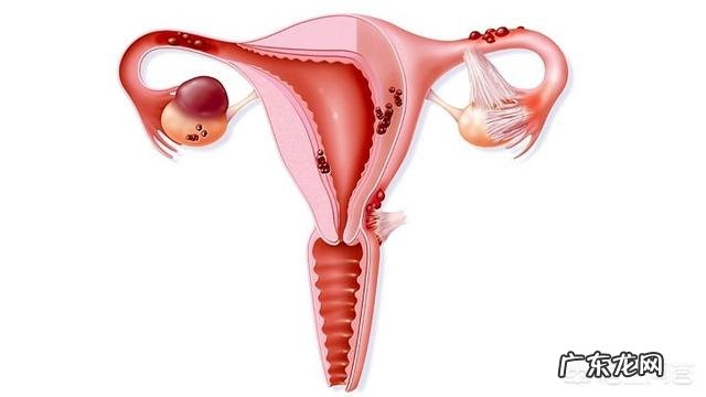 喝水少也会影响健康吗，为什么