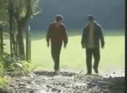 你见过最搞笑的动图是什么