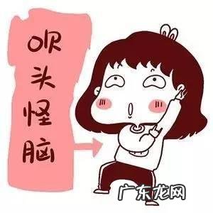 生活在苏州是一种怎样的体验