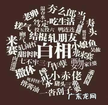 生活在苏州是一种怎样的体验