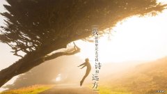 射击运动员的射击水平和狙击手的射击水平哪个更高