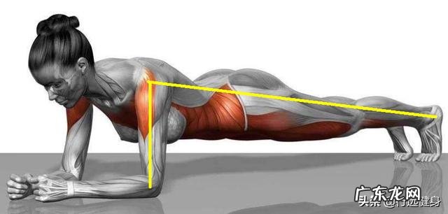 练习平板支撑是否会损伤腰椎