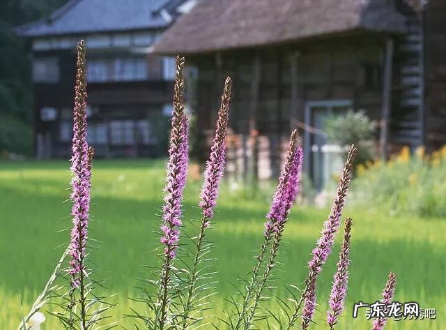 如何不脱离现代生活去过极简生活呢