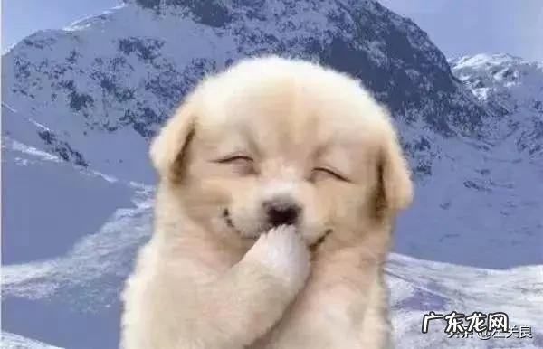 拼多多上几十块钱的电动工具怎么样