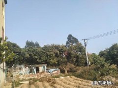 水果滞销，谁打烂了这副牌