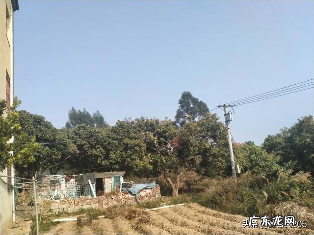 水果滞销，谁打烂了这副牌