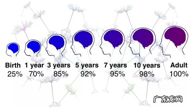 dha一般补充到几岁 dha补到孩子多大不需再补