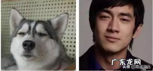 有哪些趣味十足的明星“撞脸”,让你看到一次笑翻一次