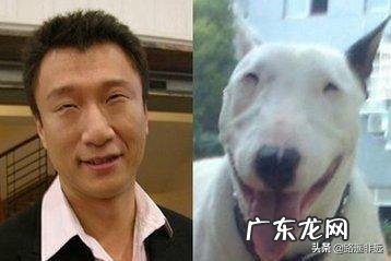 有哪些趣味十足的明星“撞脸”,让你看到一次笑翻一次