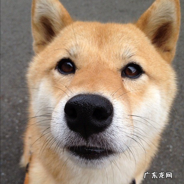 想要减肚腩可以怎么样按摩