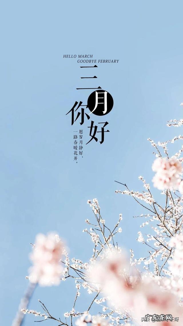 你见过最温柔干净的句子是什么