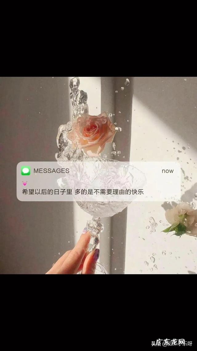 你见过最温柔干净的句子是什么