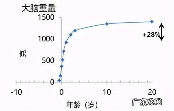 dha有没有必要给孩子补 孩子dha怎么补才有效