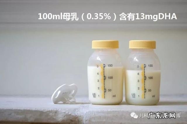 给孩子补充dha食补 孩子怎样正确补充dha