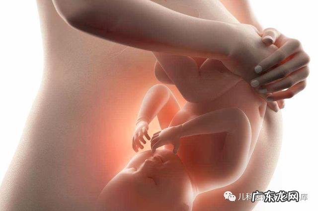 给孩子补充dha食补 孩子怎样正确补充dha