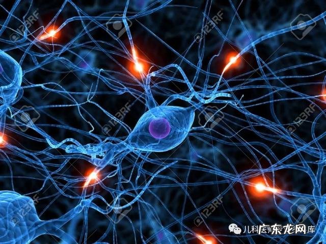 给孩子补充dha食补 孩子怎样正确补充dha