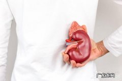 肾结石不zhi疗会变成尿毒症吗