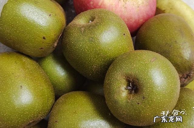 叶黄素吃哪种食物可补 叶黄素含量高的食物有哪些