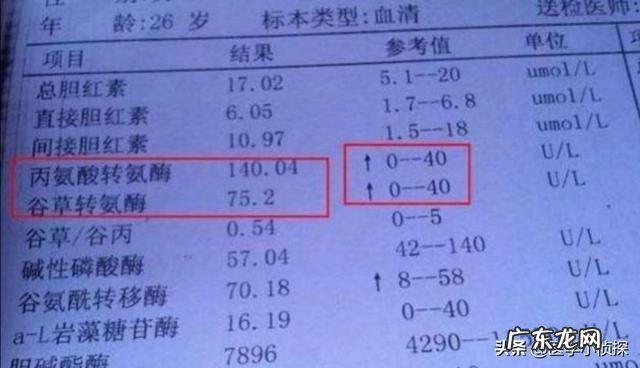 为什么五味子能够修复肝损伤