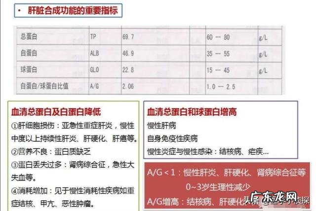 为什么五味子能够修复肝损伤