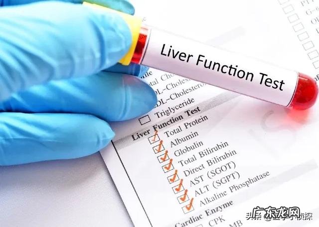 为什么五味子能够修复肝损伤